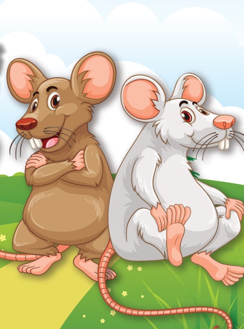 שני עכברים